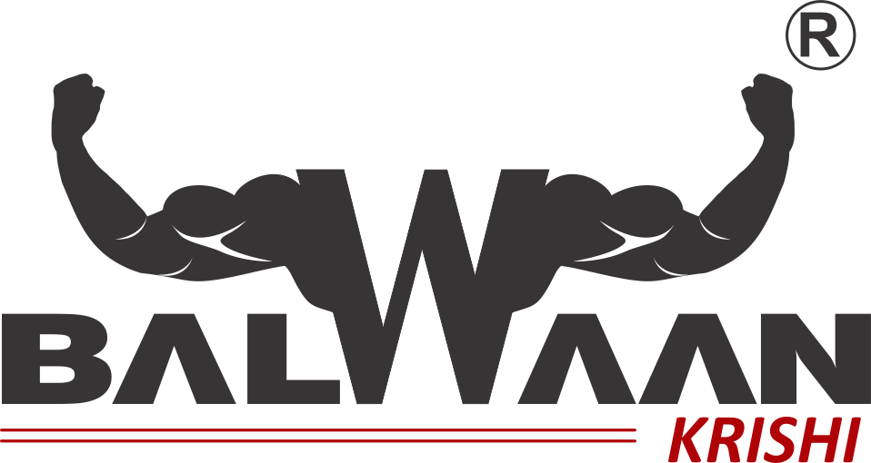 Balwaan Logo